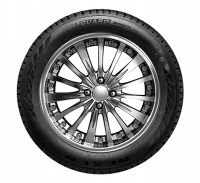 205/55R16 opona NEXEN WG SNOW G WH2 91H